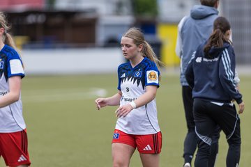 Bild 229 - wBJ Hamburger SV - FC Suederelbe : Ergebnis: 9:0
